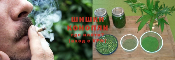 шишки Балахна