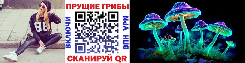 Галлюциногенные грибы прущие грибы  Приозерск 